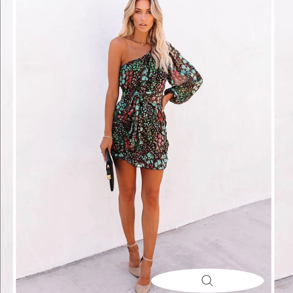 Vici Mini Dress- Never worn- tags still on